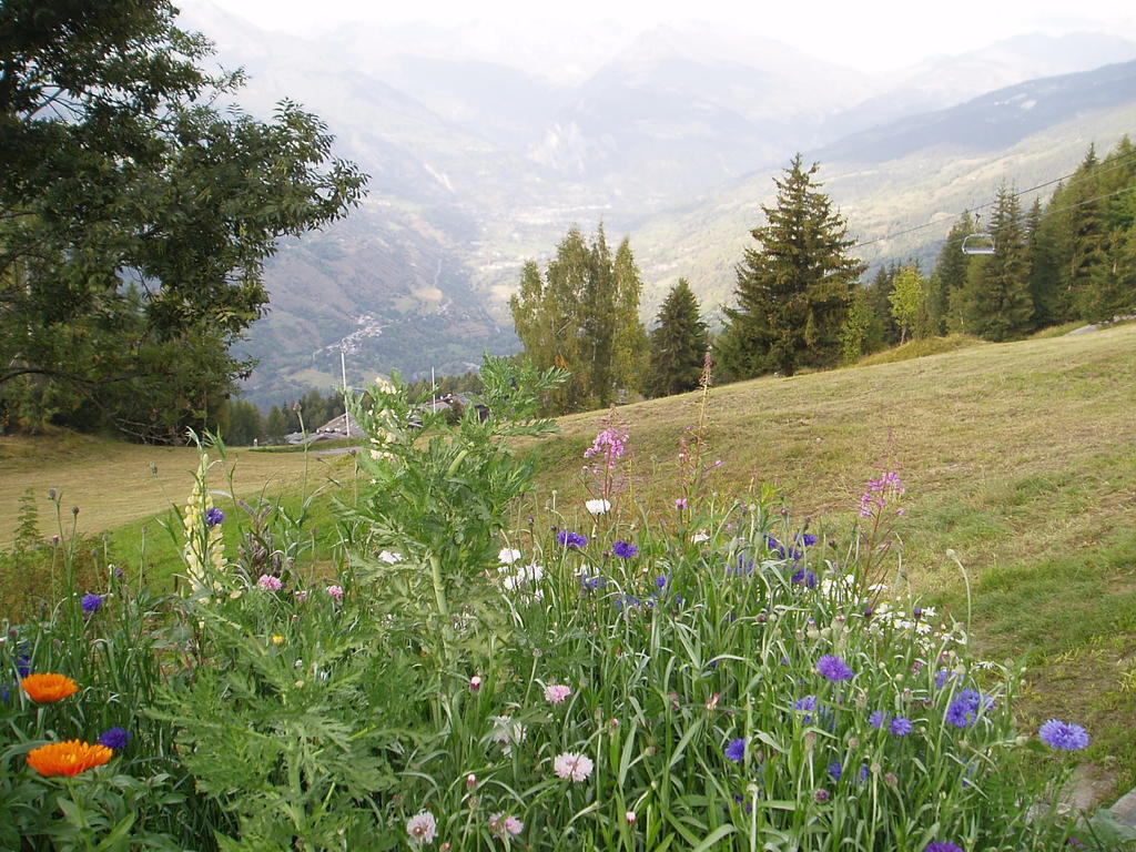 Chalet Les Gentianes La Plagne Cameră foto